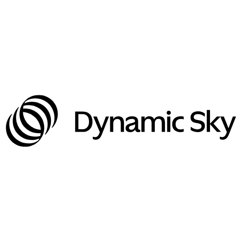dynamic sky logo